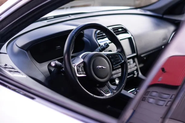 Casino Treasure Mile App Android/iOS